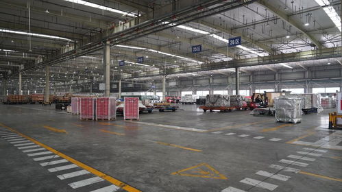 成都航空貨運實現歷史性跨越 國際貨量首超國內，雙機場聯動助力產業升級